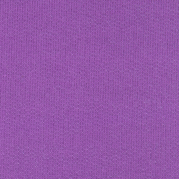 (29) 퍼플